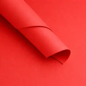 Goma Eva Lisa Rojo Paquetes de 10 unidades