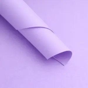 Goma Eva Lisa Lila Paquetes de 10 unidades