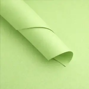 Goma Eva Lisa Verde Claro Paquetes de 10 unidades