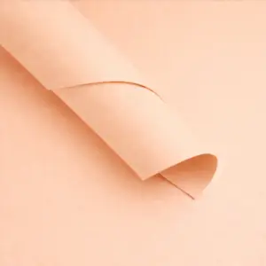 Goma Eva Lisa Durazno Paquetes de 10 unidades